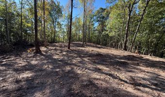 0 Slasham Rd, Ashville, AL 35953