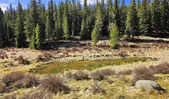 PCS # 7765 & 12057 Rollies Trail lot 0, Alma, CO 80420