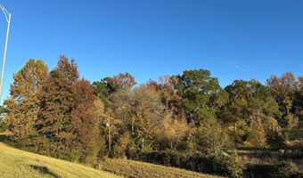 Hazel Street, Arcadia, LA 71001