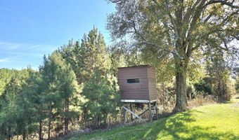 1228 River Rd, Ariton, AL 36311