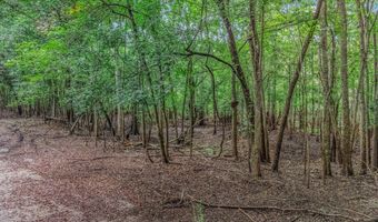 17 Th St, Bell, FL 32619