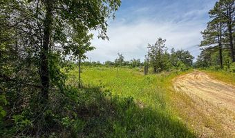 001 N 4220 Rd, Antlers, OK 74536