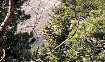 399 N Skinner Rd, Allenspark, CO 80510