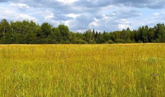 County Road Y, Aniwa, WI 54408