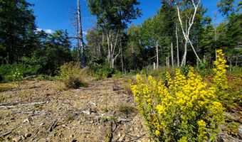 W McMann & Porcupine Hill Road lot 3, Addison, ME 04606