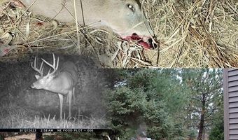 189 Th St, Albia, IA 52531