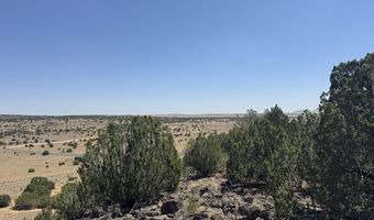 5 County Rd # 8095, Concho, AZ 85924