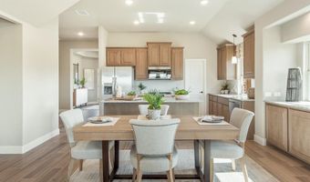 805 Twin Pine Ct, Anna, TX 75409