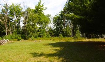 S Forest Lake, Alger, MI 48610