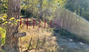 1011 Granny Hollar Rd, Atkins, AR 72823