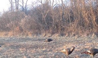 Chickadee Court, Agency, MO 64401