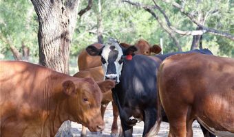 CR 119, Alice, TX 78332