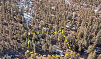 9 County Rd 2073, Alpine, AZ 85920