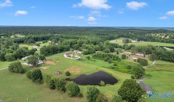 1868 Brashiers Chapel Rd, Arab, AL 35016