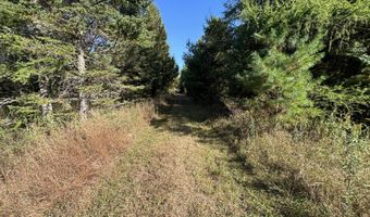 5280 Cathro Rd, Alpena, MI 49707