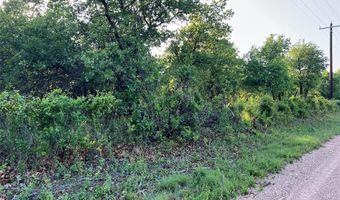 Tbd County Road 335, Anson, TX 79501