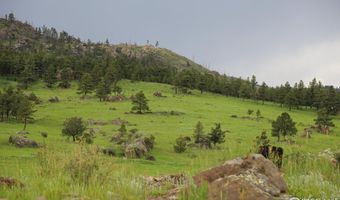 Old Flowers Rd, Bellvue, CO 80512