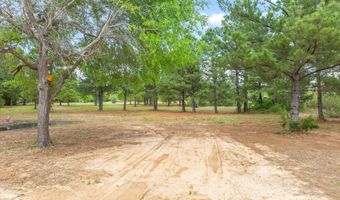 Hwy 69, Alba, TX 75410