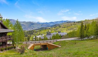 1087 Bachelor Ridge Rd 203, Avon, CO 81620