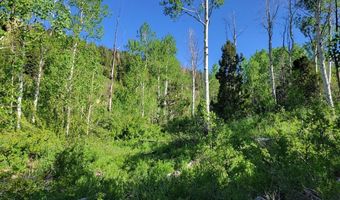 Braffits Creek Lot 61 & 62, Brian Head, UT 84719