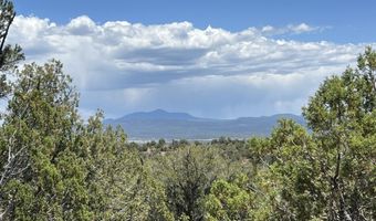 61 Colt Ct Ne4 Rd, Ash Fork, AZ 86320