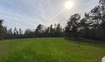 02 County Road 6650, Banks, AL 36005