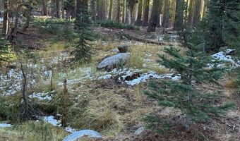 550 Cabbage Patch Log Rd, South Lake Tahoe, CA 95223