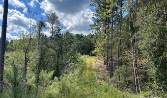 60 Ac Shannon Rd, Blackstock, SC 29014