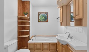 18600 Manitou Rd, Addison, MI 49220