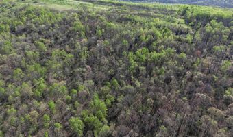 10 Acres County Road 792, Flat Rock, AL 35966