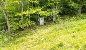 1361 Weaver Hollow Rd, Andes, NY 13731