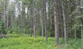 60317 Highway 200, Clark Fork, ID 83811