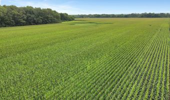 Duvall Road, Ashville, OH 43103