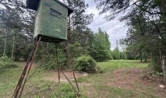 167 E W Morgan, Arcadia, LA 71001