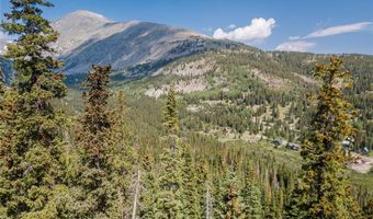 585 COUNTY ROAD 805, Breckenridge, CO 80424