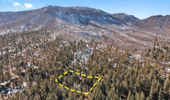 9 County Rd 2073, Alpine, AZ 85920