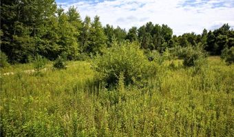 VL 104th Avenue, Allegan, MI 49010