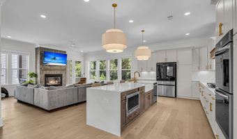 1068 Capersview Ct, Awendaw, SC 29429