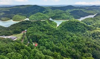 802 Livingston Boat Dock Rd, Allons, TN 38541