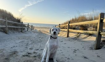 281 7th St, Avalon, NJ 08202