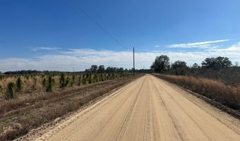 2000-4 Sellers Rd NW, Baxley, GA 31513