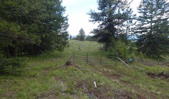 000 Hansen Ridge Rd, Anatone, WA 99401