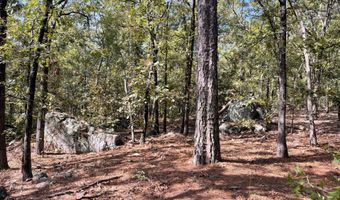 Tract 51 Highway 2, Antlers, OK 74523