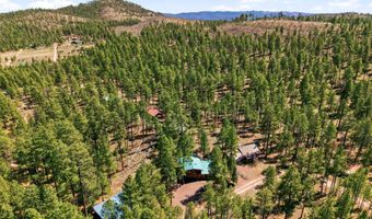 18 County Rd 2120, Alpine, AZ 85920