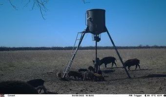 Hwy 6, Albany, TX 76424