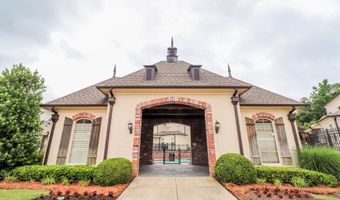 3001 Old Taylor Rd #203, Oxford, MS 38655