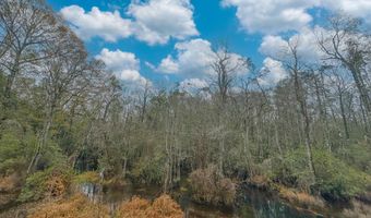 Tract # 6409 NE River Road, Caryville, FL 32427