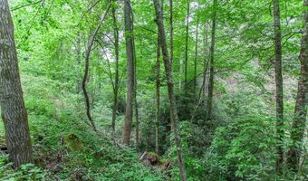 399 Shell Stand Rd, Almond, NC 28702
