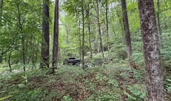 9999 Countryside Est, Barnardsville, NC 28709