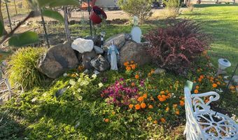 515 Homestead Trl, Challis, ID 83226